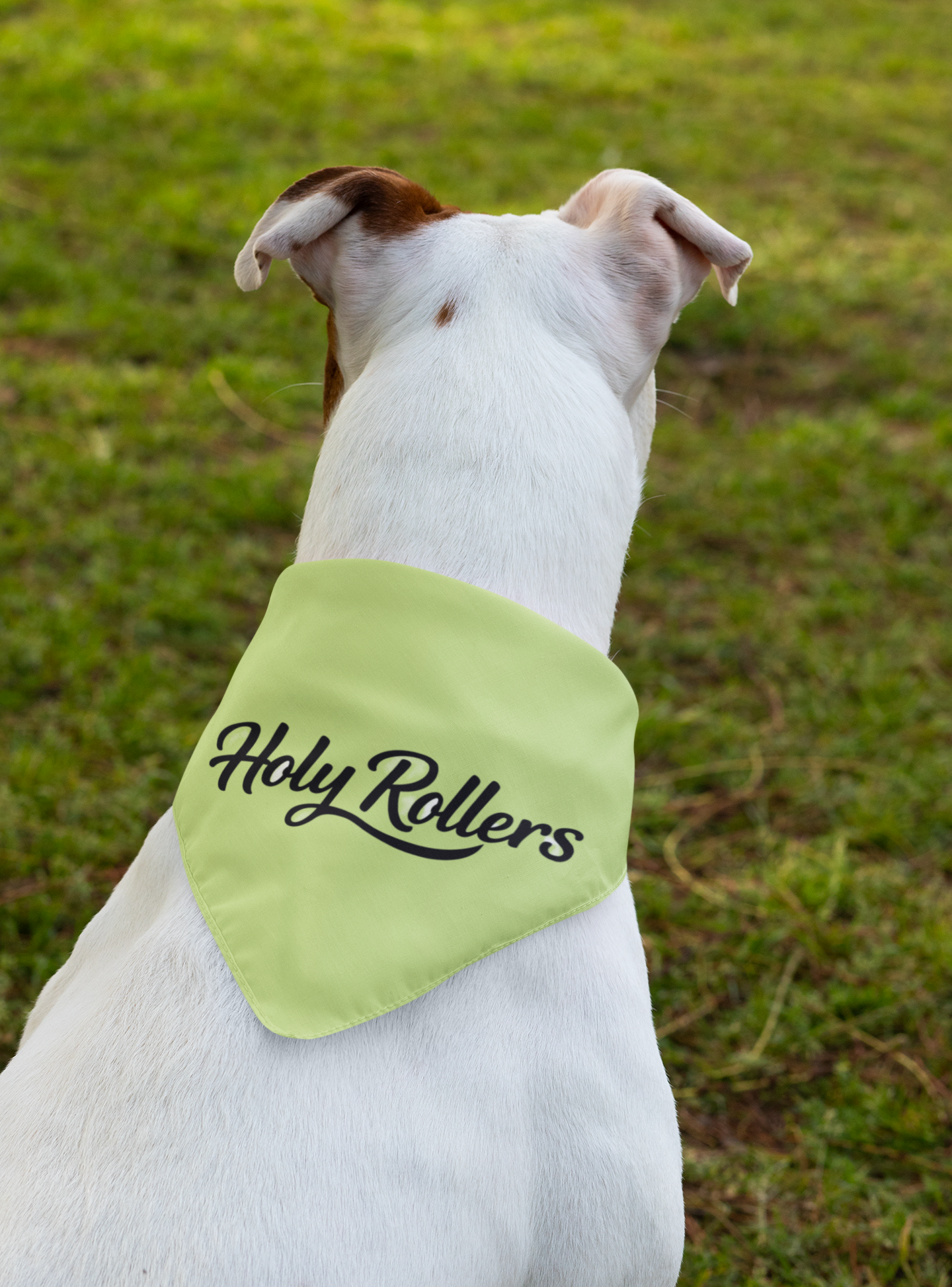 Holy Rollers Christian apparel: Clip-on Pet Bandana — "Holy Rollers" Neon Dog & Cat Neck Scarf